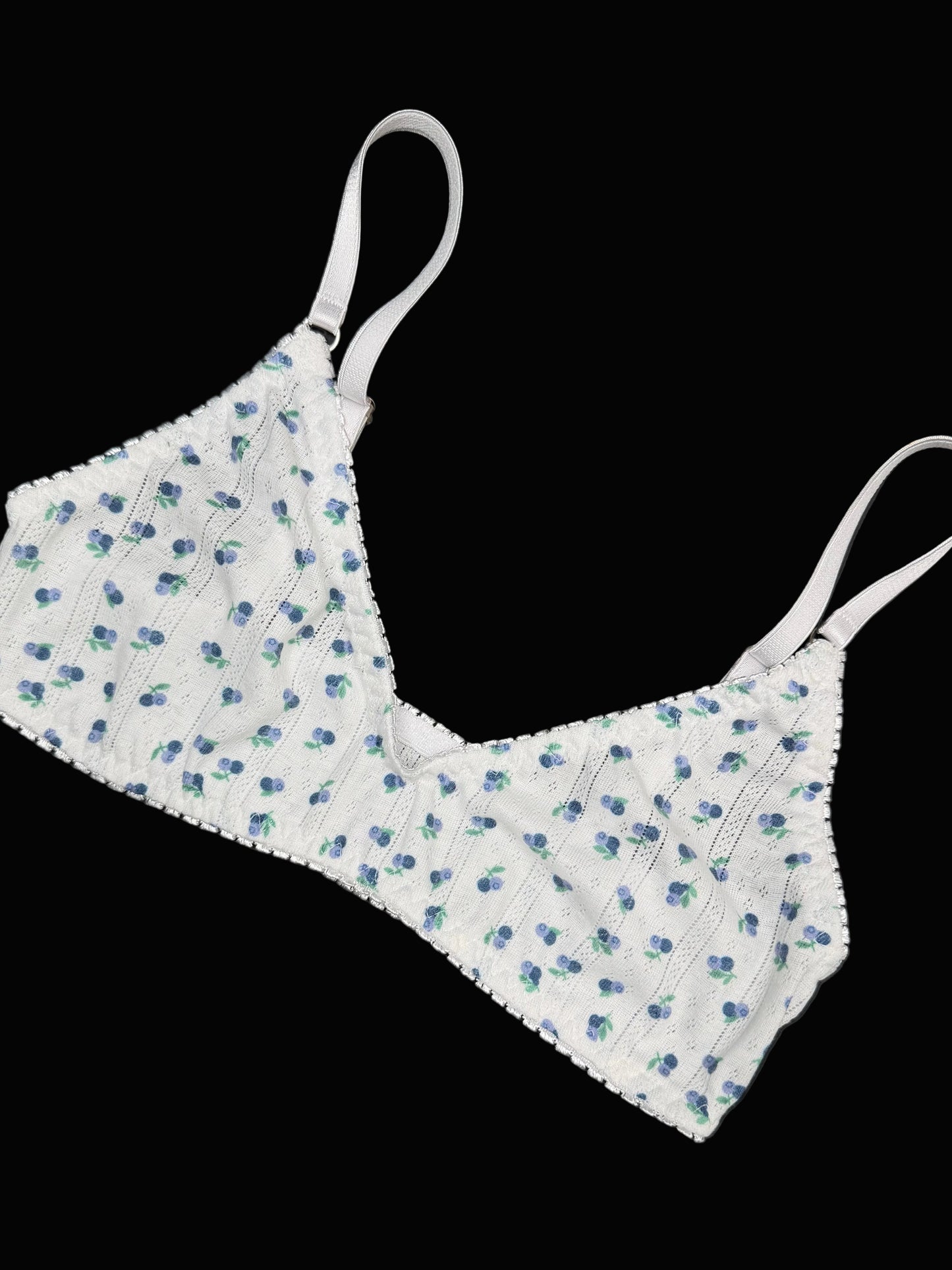 Paquete blueberries 3 piezas