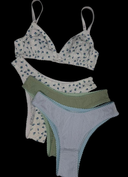 Paquete 2 blueberries 3 piezas