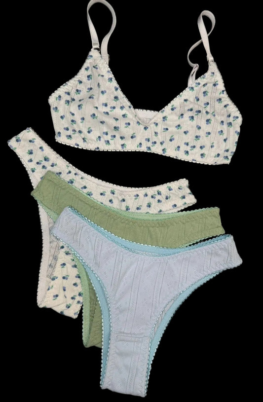 Paquete blueberries 3 piezas